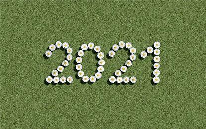 《尼克儿童频道全明星大乱斗》米开朗基罗出招 10月5日发售