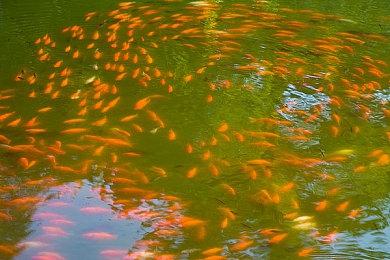 持续更新立功 《永劫无间》玩家人数破4000万